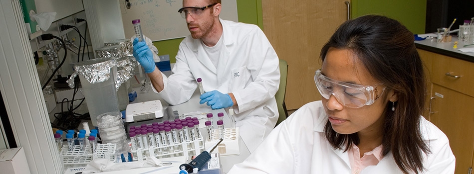 Two postdoc researchers examining test tubes in a laboratory